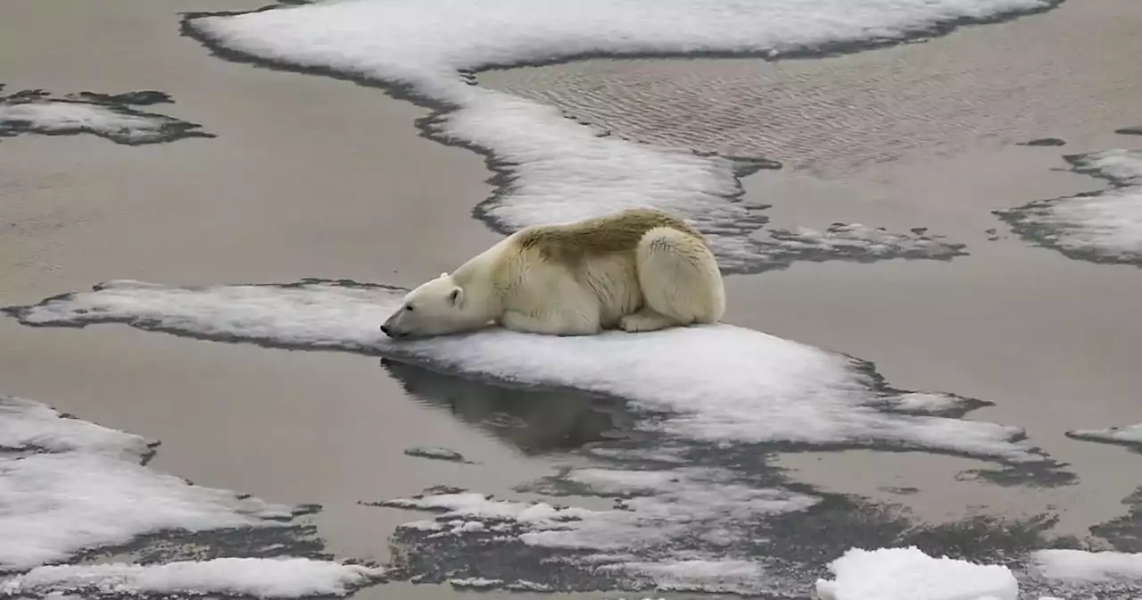 Weltklimarat IPCC warnt in Bericht vor Eskalation der Klimakrise