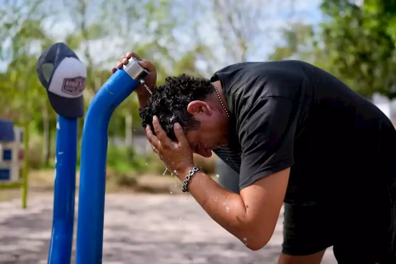 Olas de calor tardías: la anomalía que prevén que se registre en el comienzo del otoño