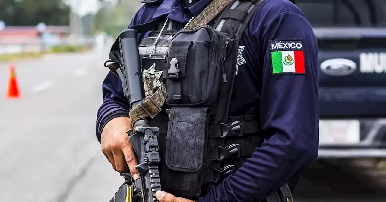 México: descubrieron dos fosas clandestinas con 10 cadáveres | Mundo | La Voz del Interior