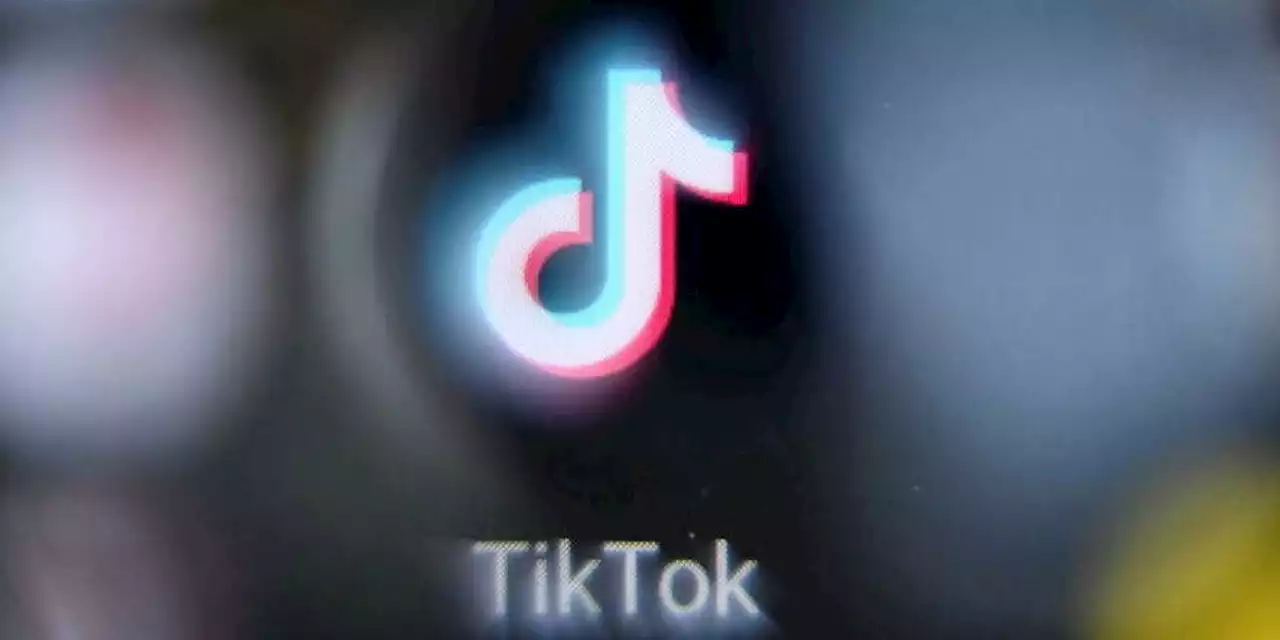 TikTok : cinq questions sur la commission d’enquête au Sénat