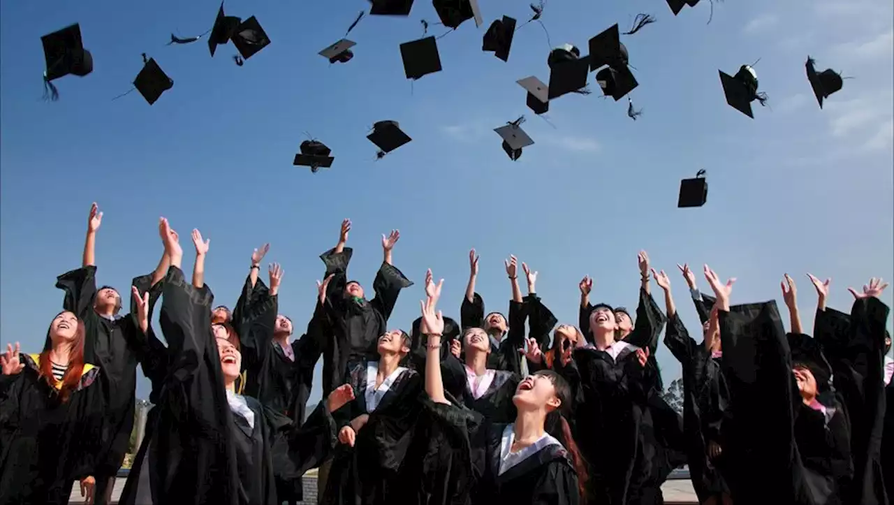 Quelles sont les écoles de commerce qui proposent les meilleurs bachelors de France ?