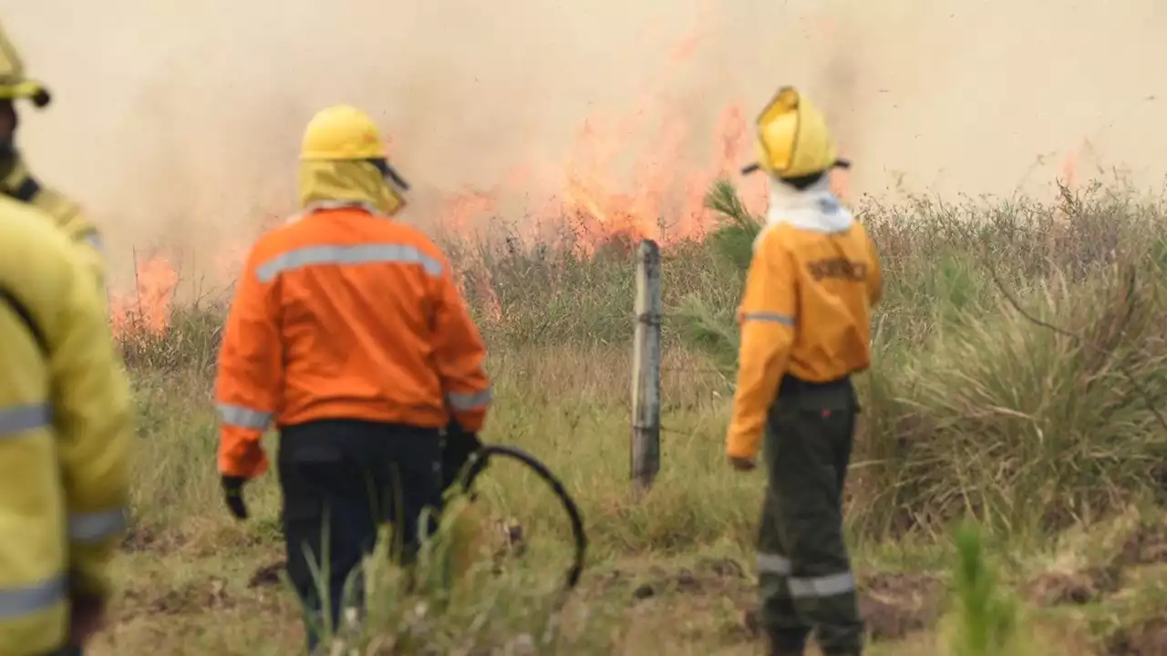 Registran focos de incendios forestales en San Luis y Corrientes