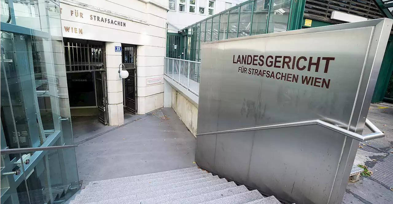 Mordprozess in Wien: 'Sie haben sie zu Tode vergewaltigt'