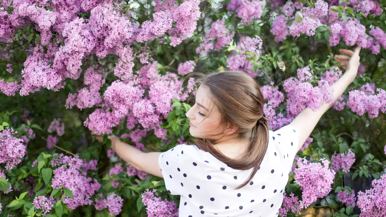 Spring Is Sprouting and Plenty of Petals (Including Lilacs) Are Popping