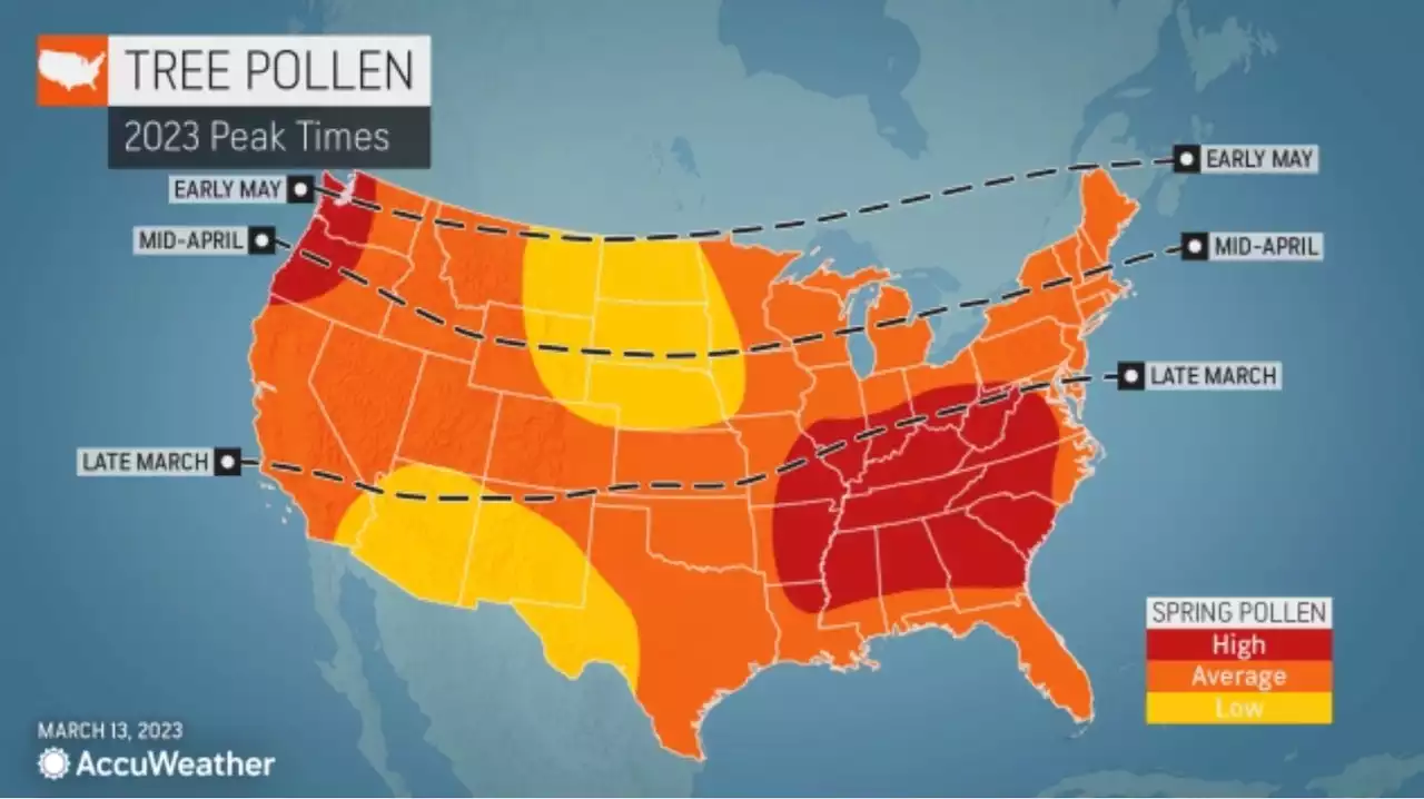 Spring allergy forecast predicts late pollen explosion in N.J., other states in 2023