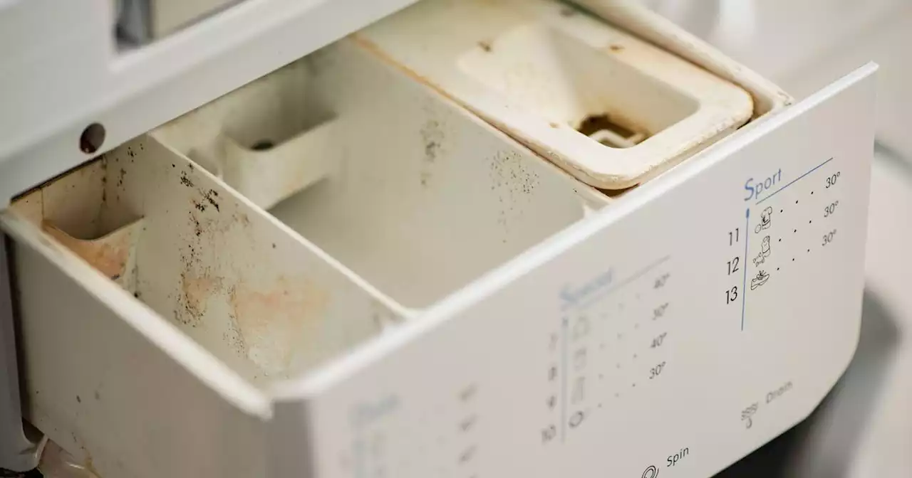 'Little-known' button that can clean away washing machine grime easily