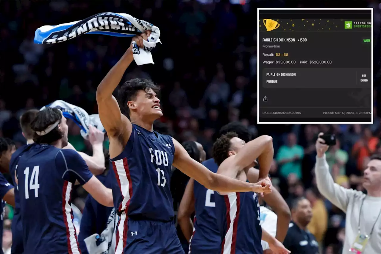 Bettor wins $495K with $33K wager on Fairleigh Dickinson to upset Purdue