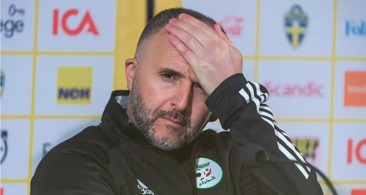 Algérie : la mise au point de Belmadi sur l'absence de Benrahma