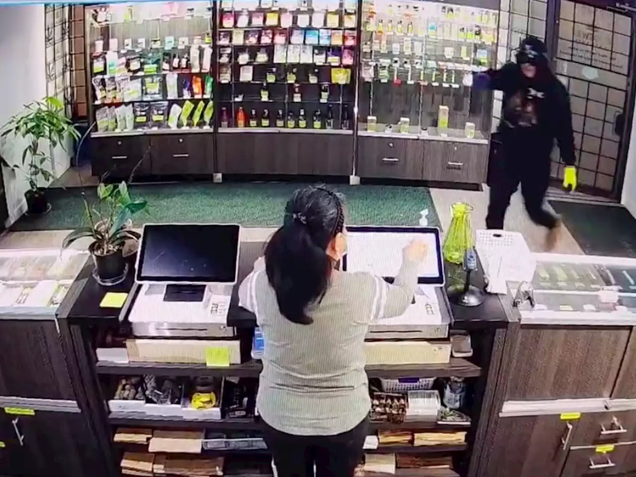 Video of attempted B.C. cannabis shop robbery shows armed thief leaving empty-handed