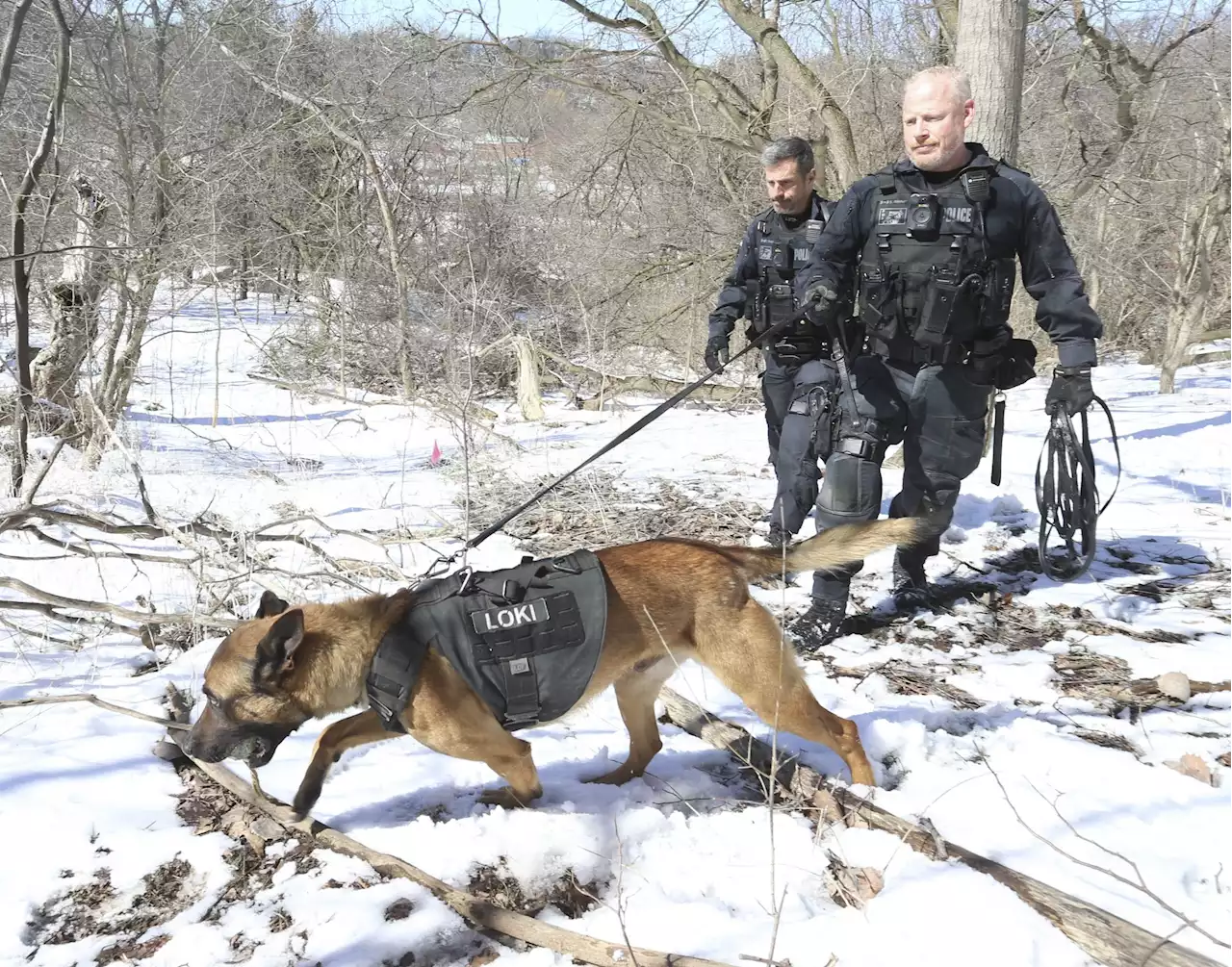 'Life or death' scenarios make for strong Toronto Police dog-handler bond