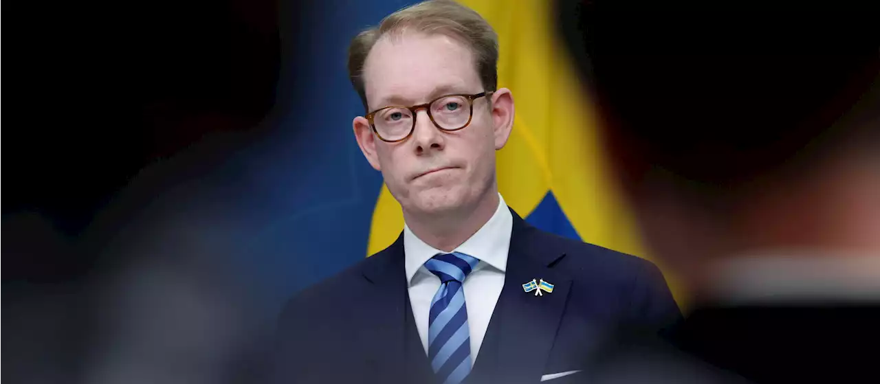 Då tror Billström på godkänd Nato-ansökan för Sverige