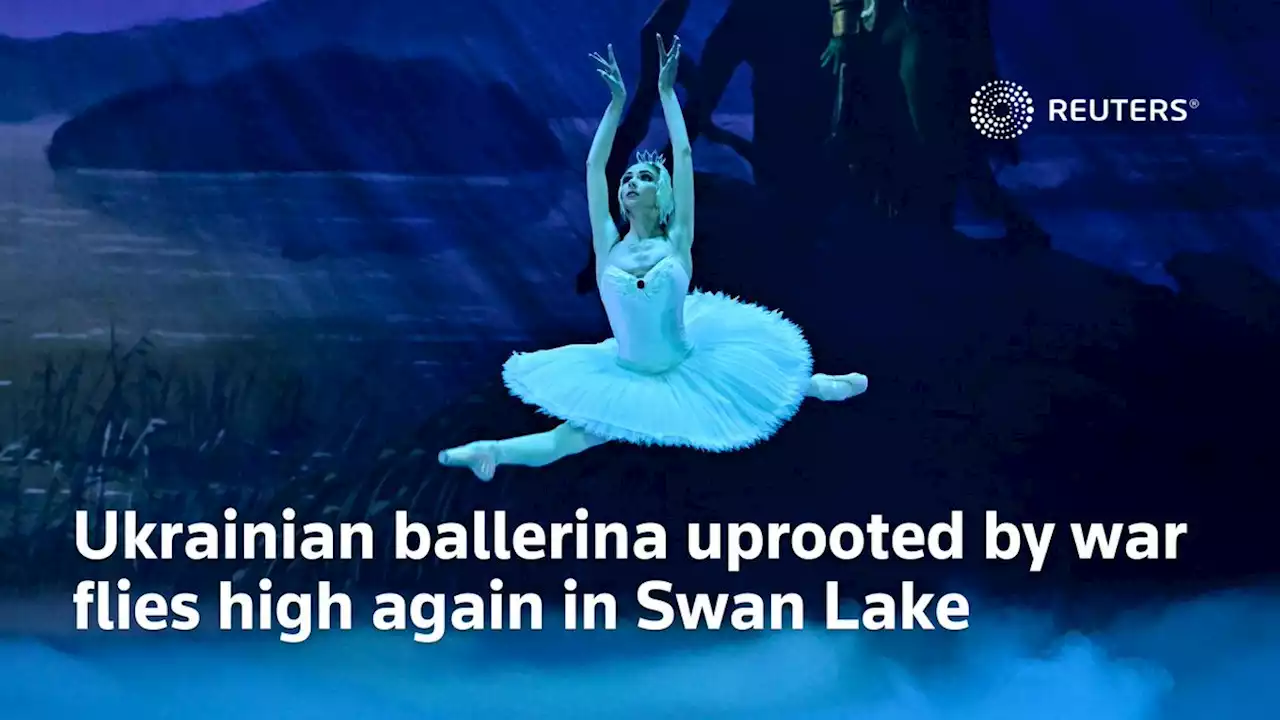 Ukrainian ballerina uprooted by war flies high again in Swan Lake