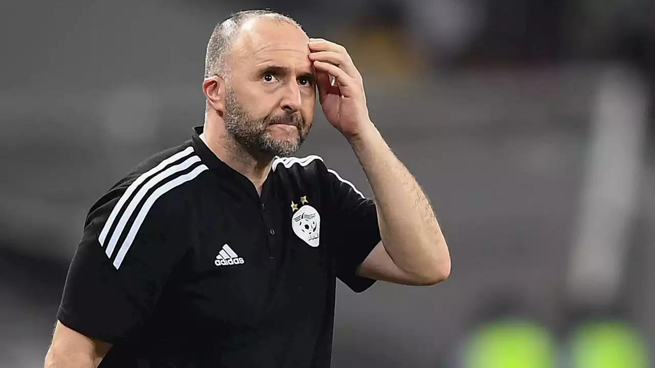 Algérie: 'par principe', Belmadi n'a vu aucun match de la Coupe du monde 2022