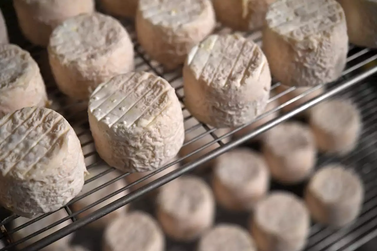 Cyril Lignac partage sa recette gourmande de salade de chèvre chaud