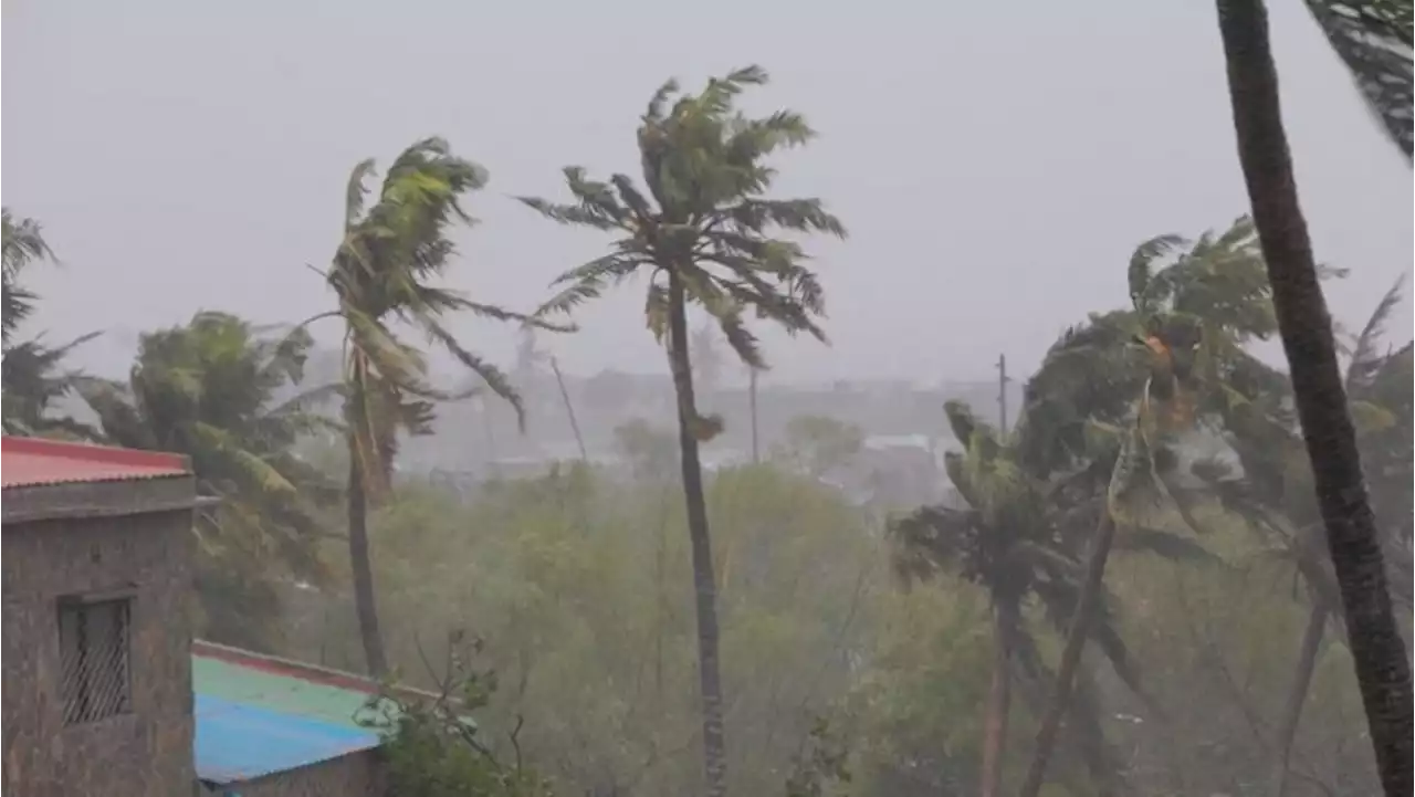 Cyclone Freddy teaches deadly lessons on storm warnings, city sprawl - SABC News