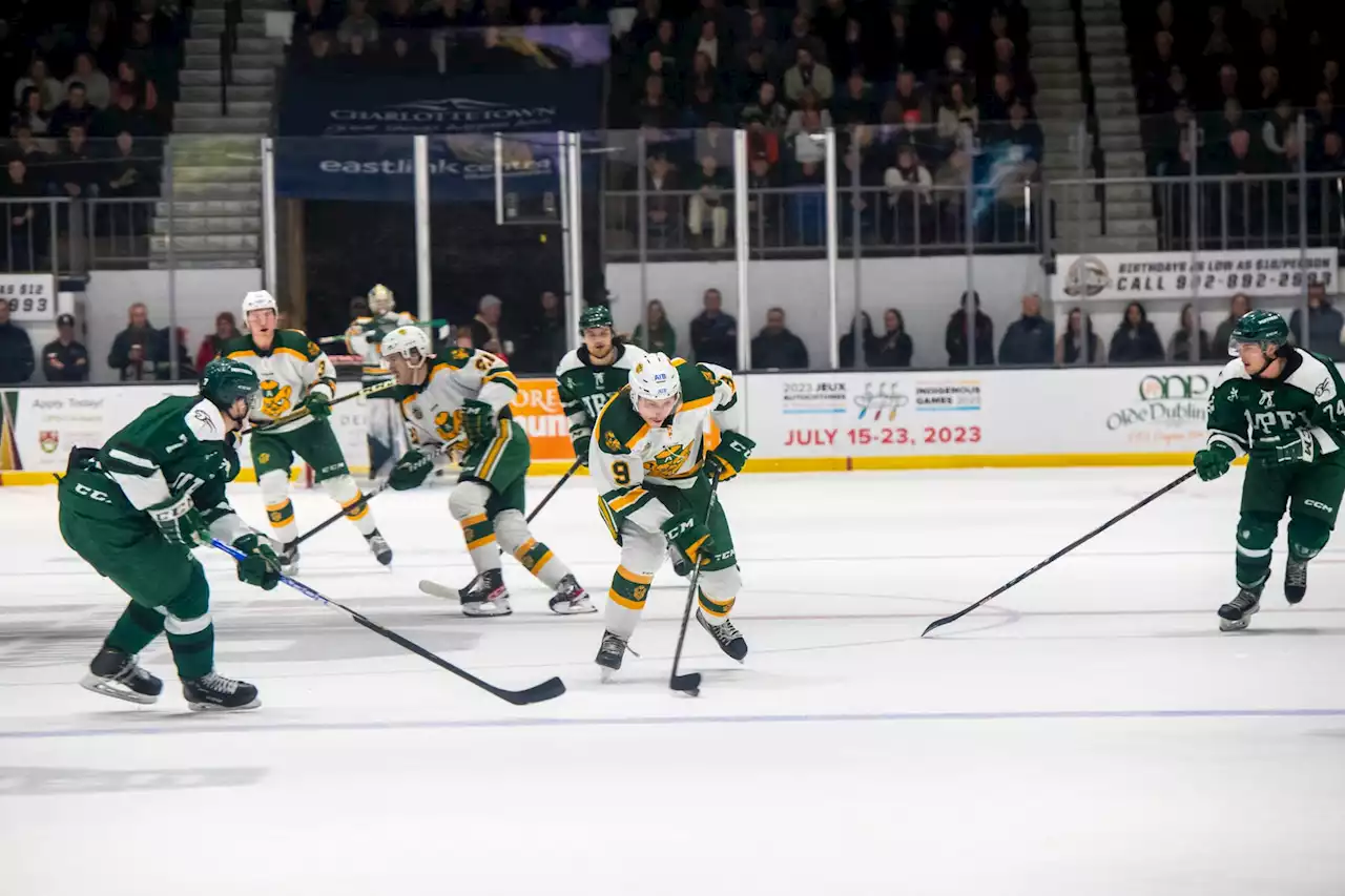 Coaches offer differing views on game following Alberta’s semifinal win over UPEI at University Cup | SaltWire