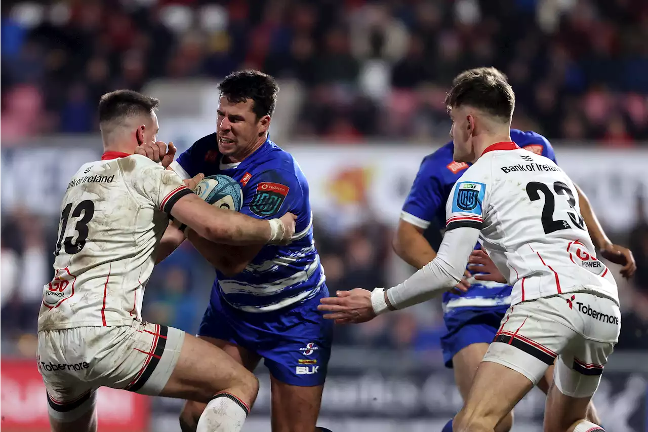 Nel-less Stormers eager for Leinster challenge