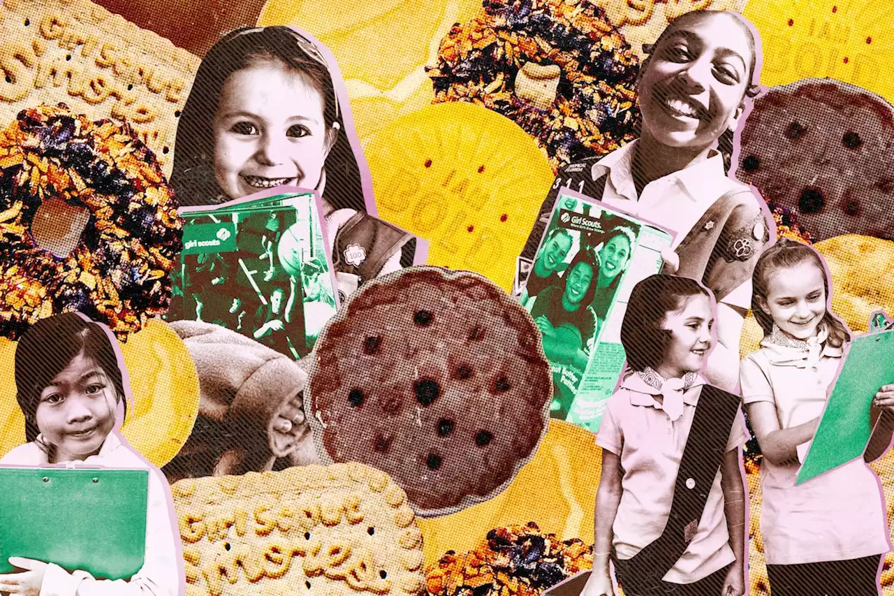 A Very Unscientific, Mom-Centric Examination Of The Best Girl Scout Cookies