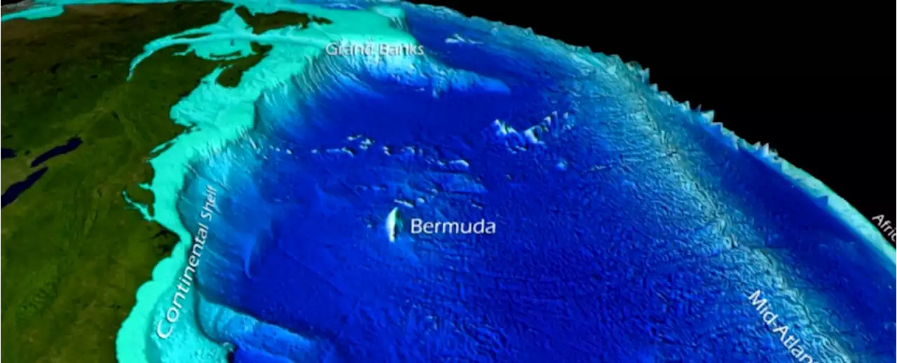 Scientists Discover Intense Heatwaves Lurking at The Bottom of The Ocean