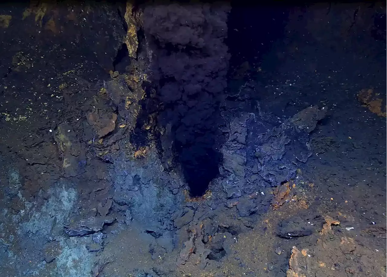 Surviving the Extreme: Scientists Discover Life in the Smoke of Underwater Volcanoes