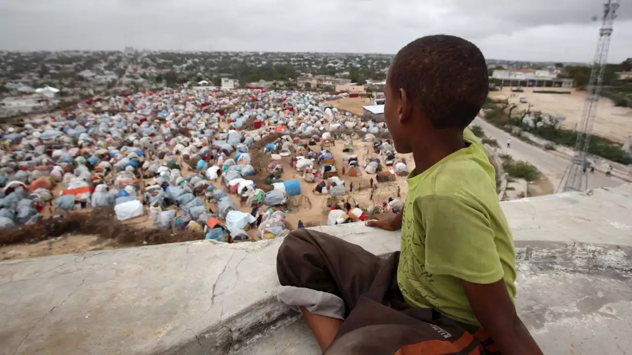 Somalia drought: UN estimates 43,000 deaths last year as 500,000 children likely to be malnourished