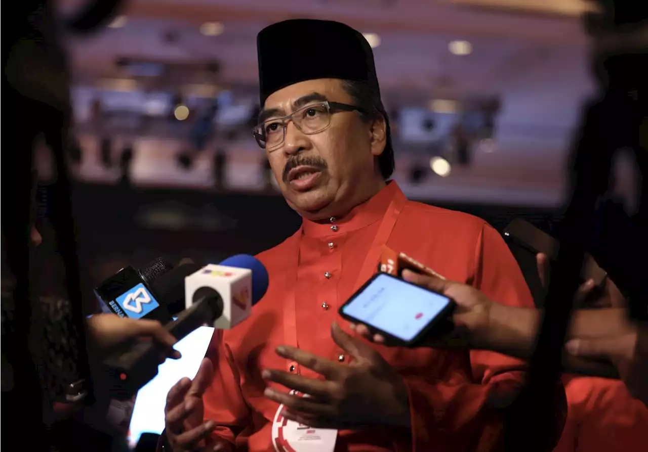 Johari says will work to strengthen Umno unity as new party vice-president