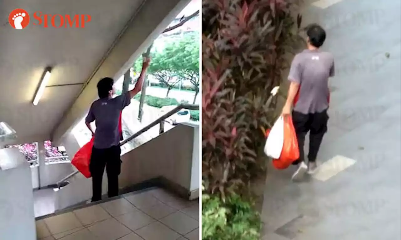 Man allegedly feeds pigeons in Chinatown almost daily despite it being illegal