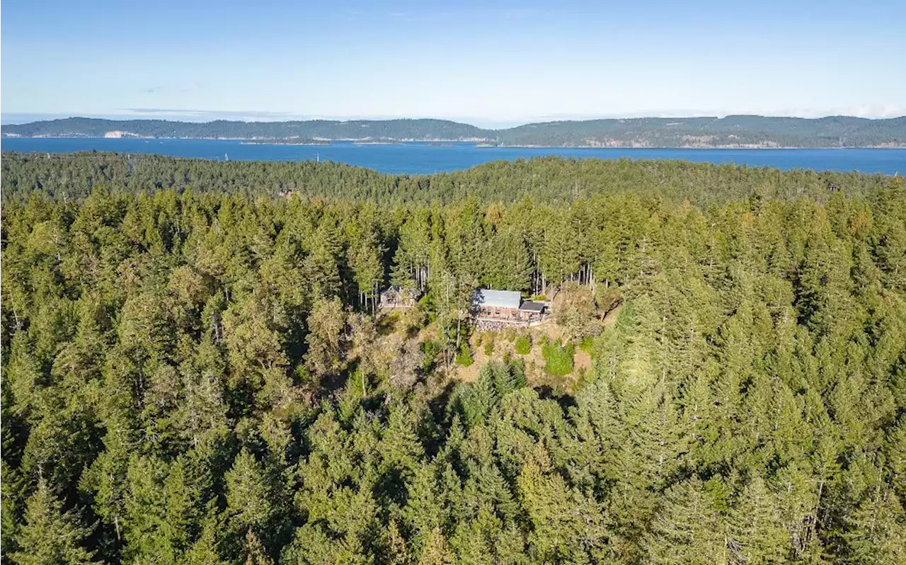 Treehouse-Chic Home on BC's Salt Spring Island Hits Market for $1.4M