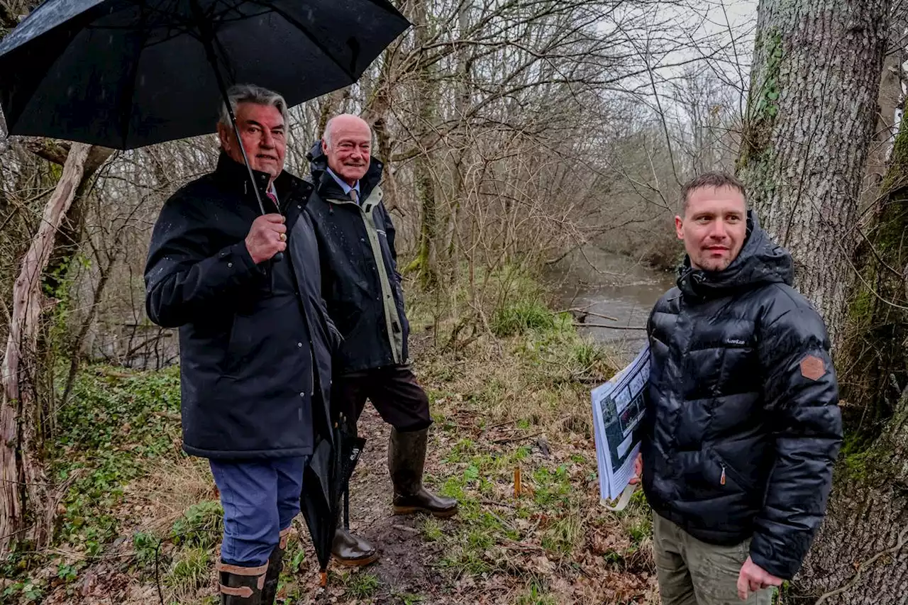 Gironde : dans le marais d’Arcins-Soussans, un chantier s’annonce pour « libérer l’eau »