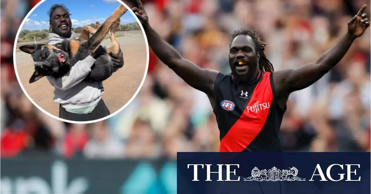 McDonald-Tipungwuti reveals the story behind his retirement ... and his extraordinary comeback