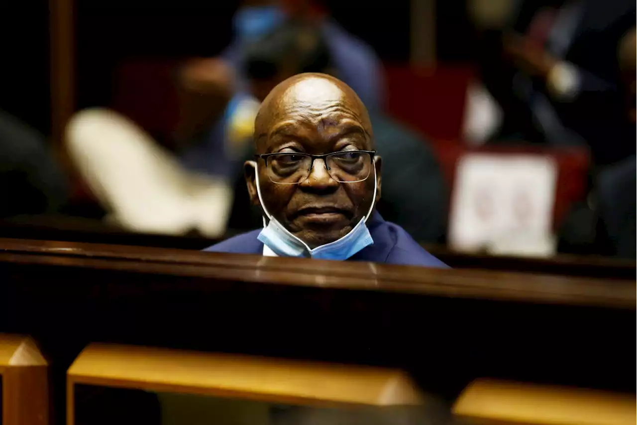 Case between Zuma and Advocate Downer underway | Witness