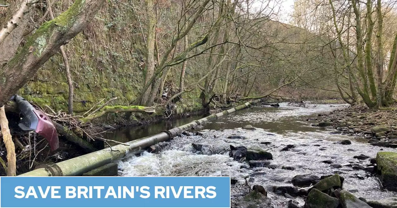 England's second most polluted river hit by 'off the radar' unrecorded sewage leaks