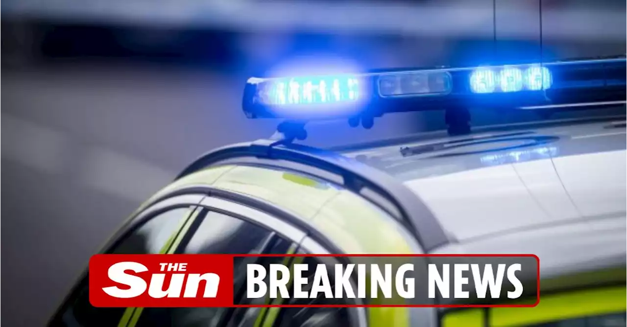 Man, 30, dies after motorbike crashes into railings in police chase