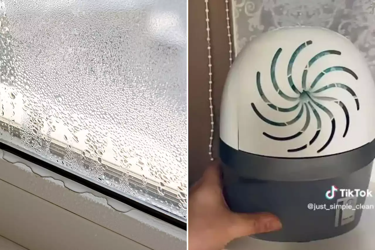 Shoppers are going wild for bargain buy from Wilko that gets rid of condensation