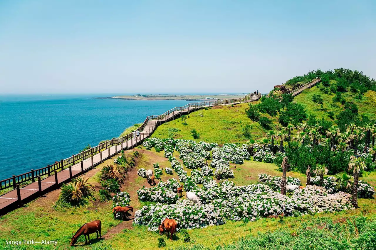 Jeju Island, South Korea: World's Greatest Places 2023