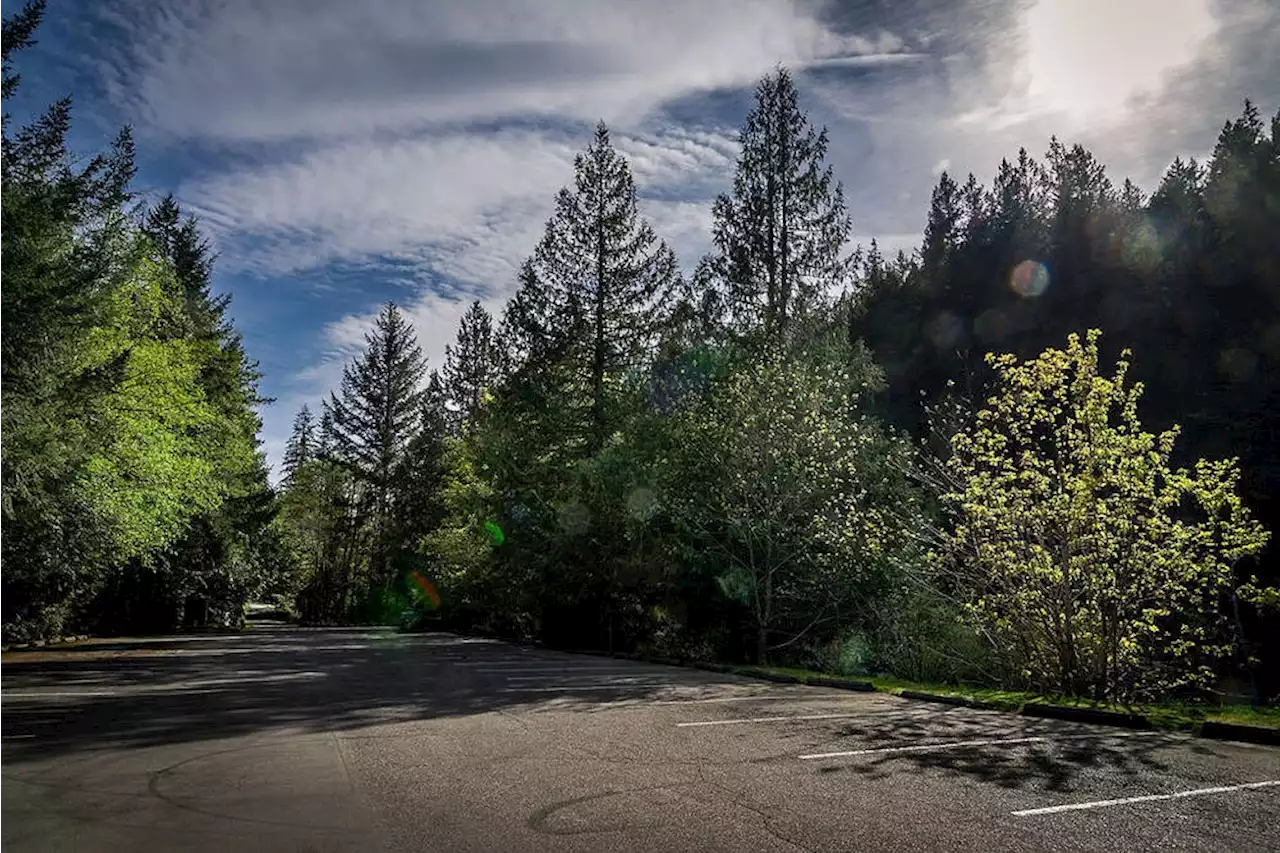 New staircase, parking lot improvements coming for Sooke Potholes