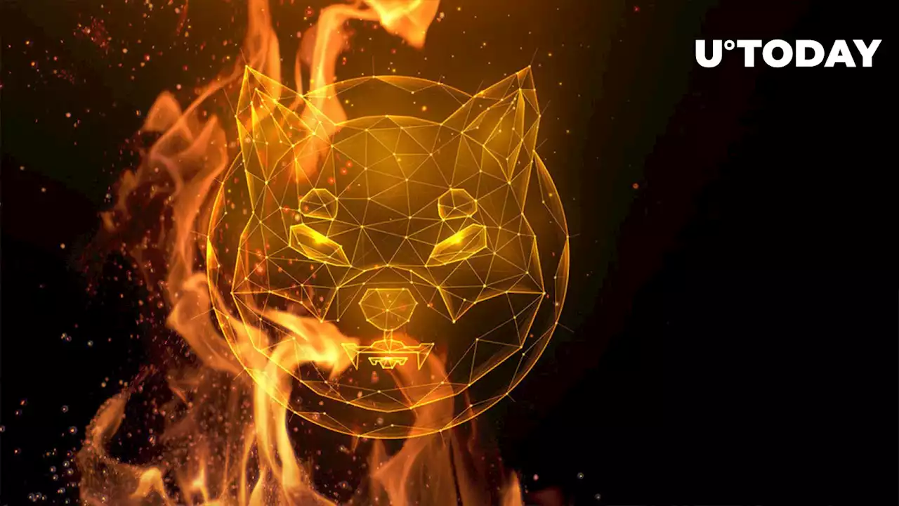 2 Billion Shiba Inu Burned Over Past Week, Here's How SHIB Price Reacts