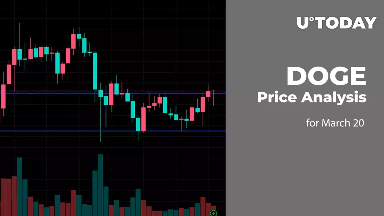 DOGE Price Analysis for March 20