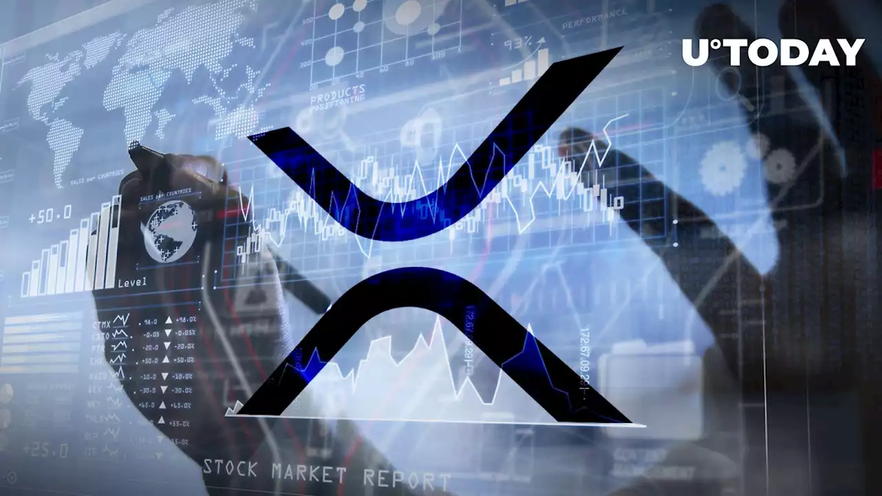 XRP Interests Traditional Investors, Funds Flows up 33% in Seven Days