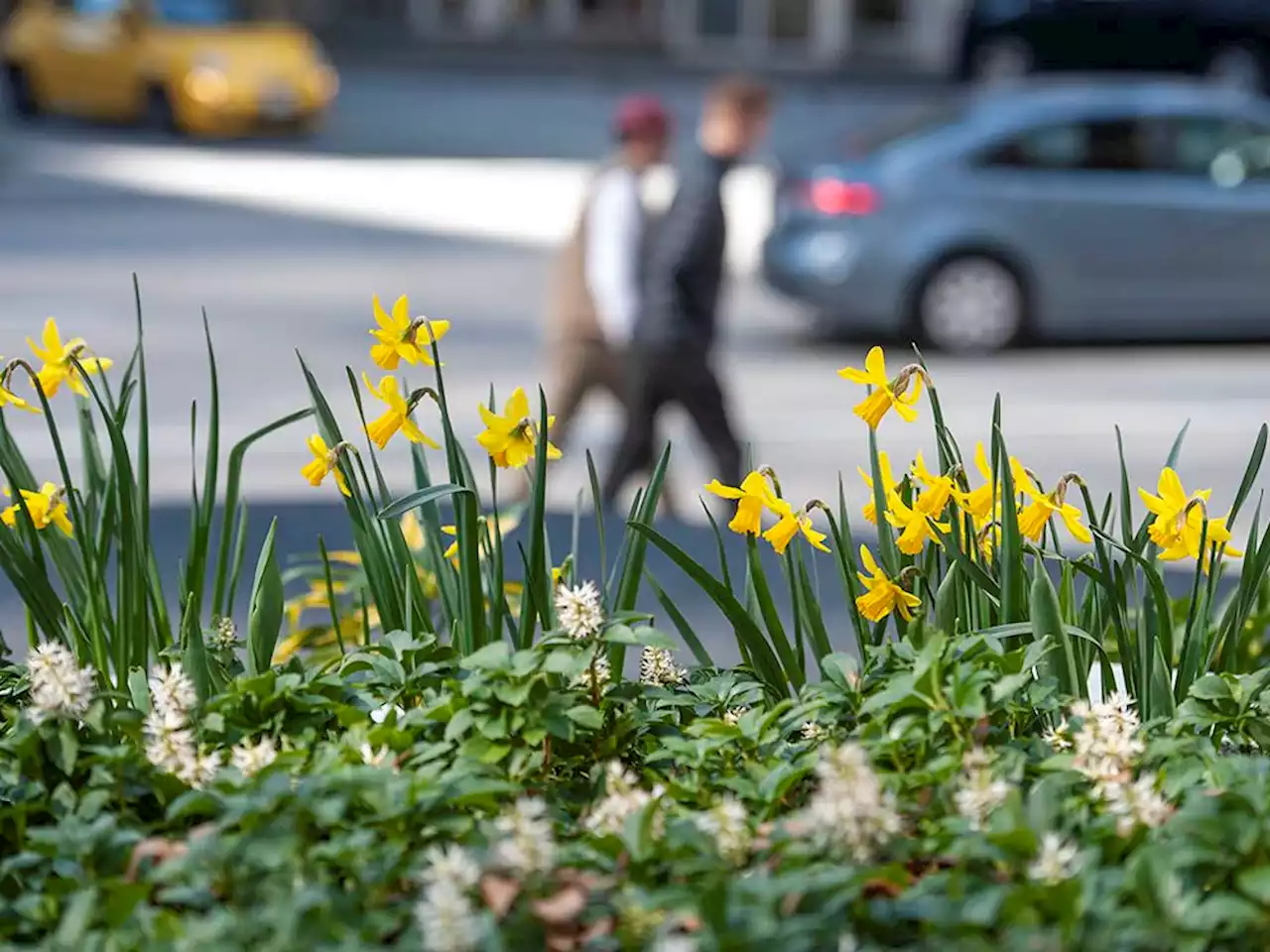 Vancouver weather: A showery beginning to spring