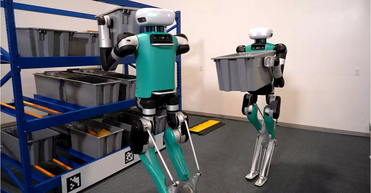 This human-size robot now has “eyes” that show people where it’s going