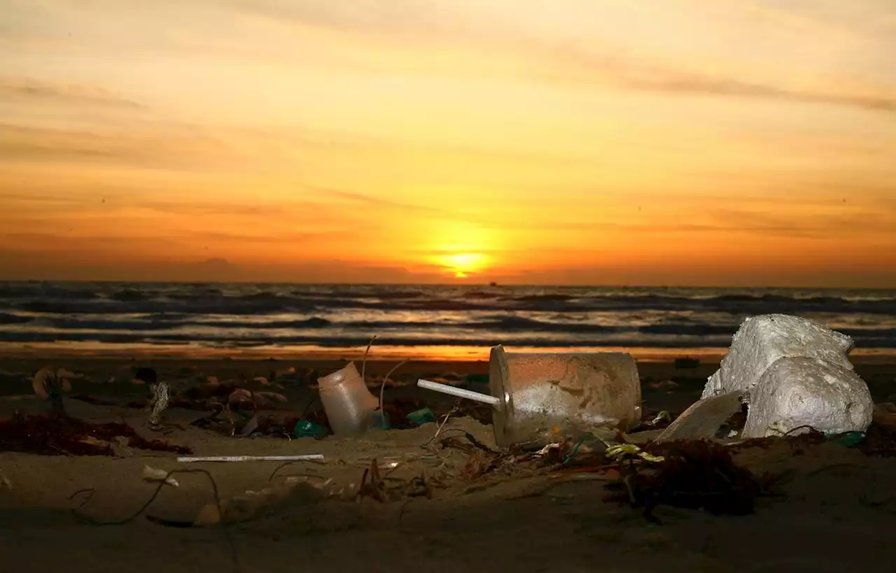 La pollution plastique a créé une nouvelle formation géologique au Brésil