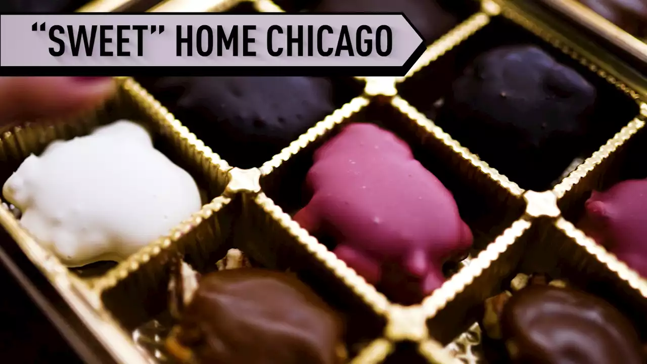 Life is Sweet: South Side entrepreneur preserving Chicago's chocolate legacy