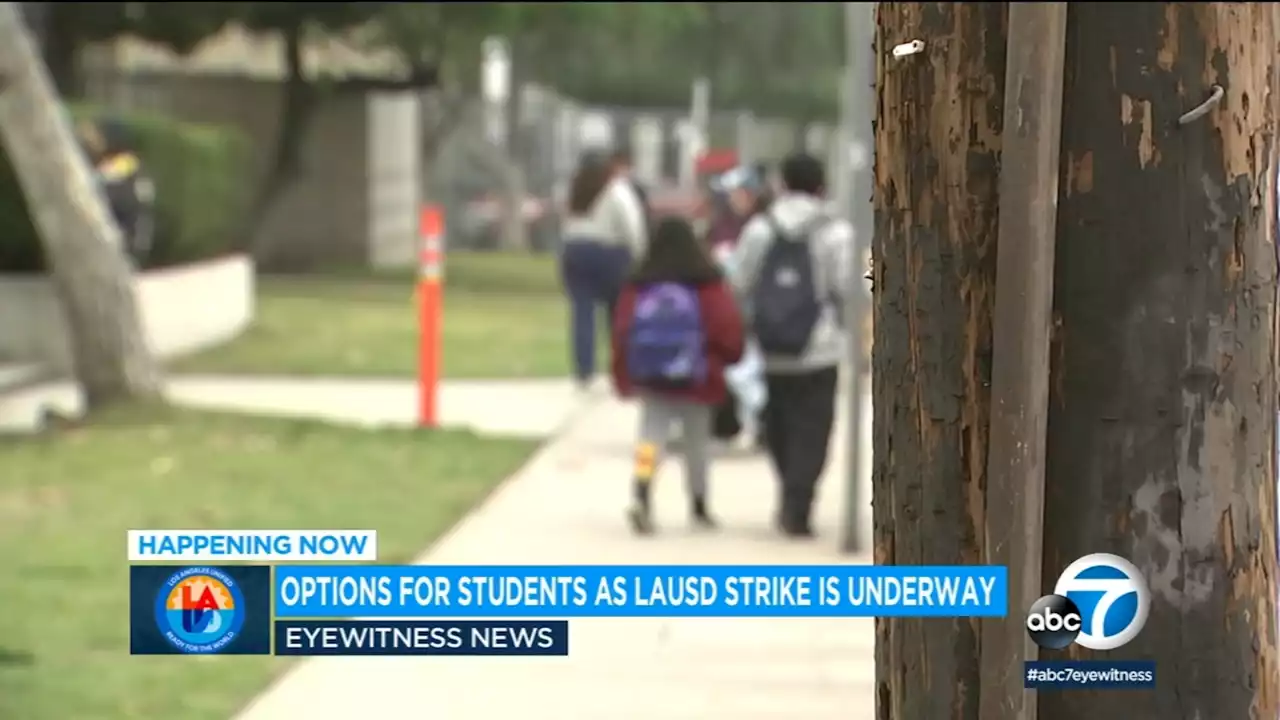 With LAUSD schools closed during strike, here are some options for parents and students