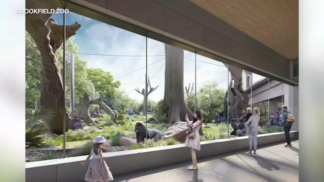 Brookfield Zoo's Tropic World primate habitat getting two-acre expansion