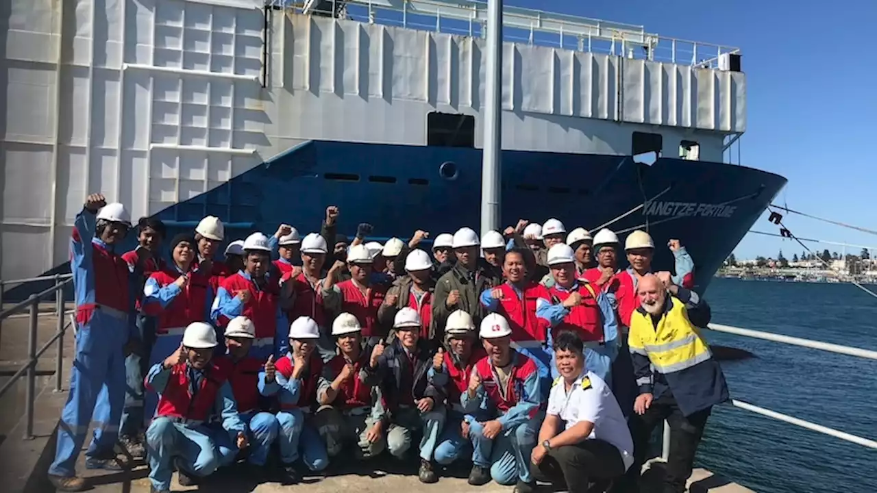 After more than five months at sea, the crew of this abandoned livestock carrier can finally go home