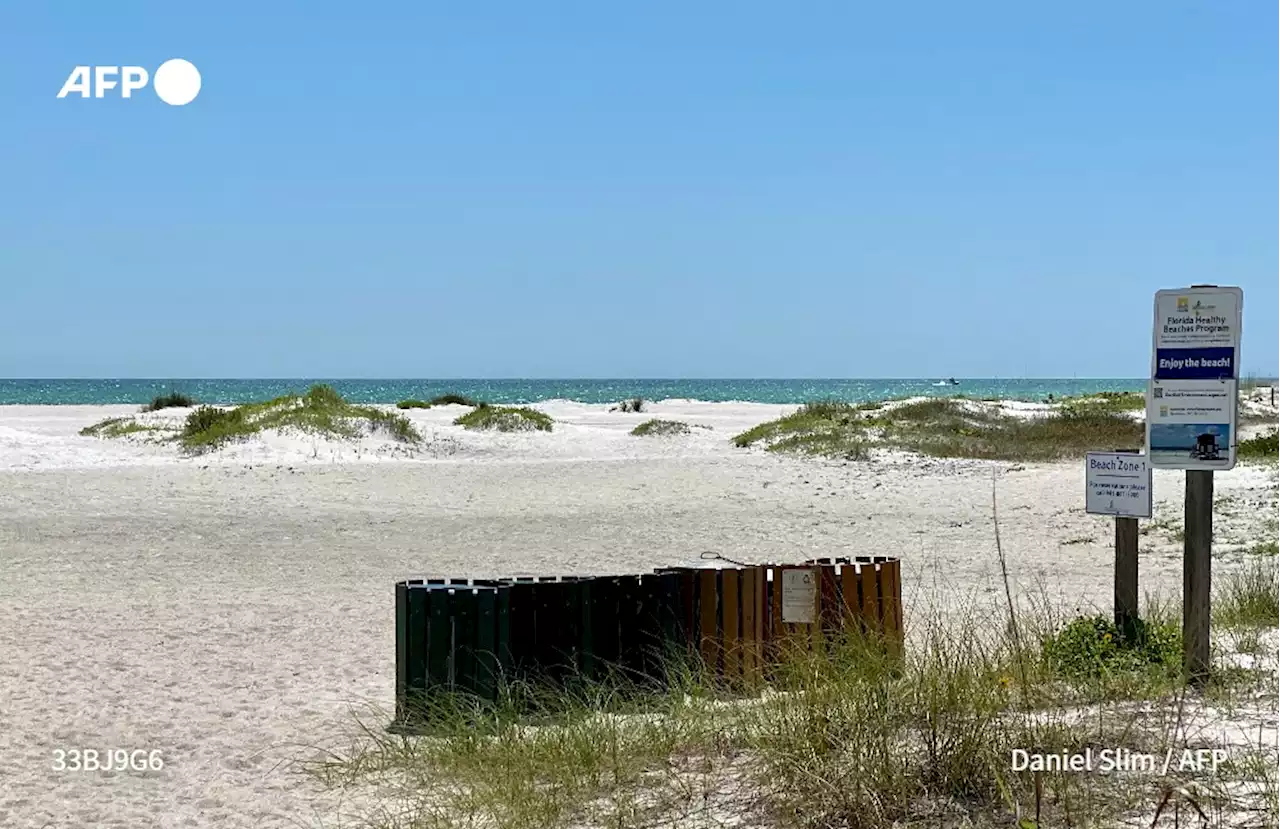 La marée rouge, un casse-tête récurrent pour la Floride