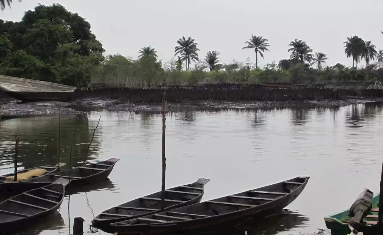 Nigeria: Shell Reports Sharp Fall in Nigeria Oil Spills After Shutdown