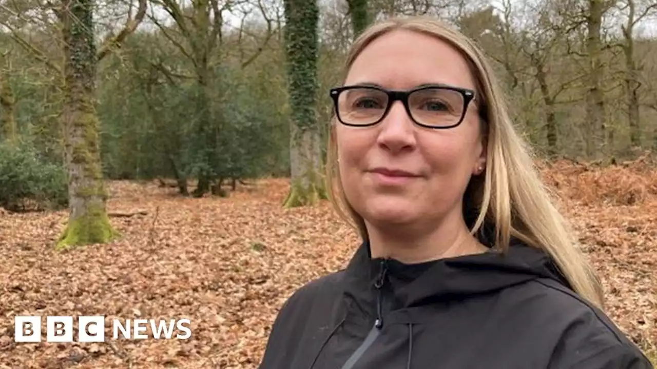 Spring has sprung in ancient Gloucestershire woodland