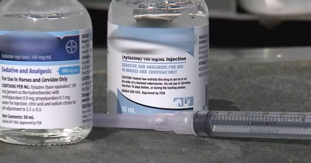 Xylazine, fentanyl mixtures found in almost every state, DEA warns